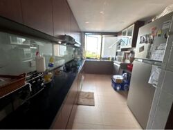 The Merasaga (D10), Condominium #563214841